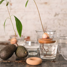 Lade das Bild in den Galerie-Viewer, Avocado Float aus Kork