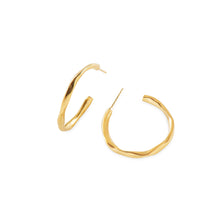 Load image into Gallery viewer, Aretas Thin Irregular Earrings