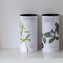 Lade das Bild in den Galerie-Viewer, Bio-Tee Zitronenverbene