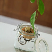 Lade das Bild in den Galerie-Viewer, Avocado Float aus Kork
