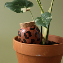 Load image into Gallery viewer, Pflanzenbewässerung Olla leopard
