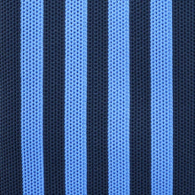 Lade das Bild in den Galerie-Viewer, Riviera Phone Bag hellblau dunkelblau

