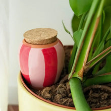 Load image into Gallery viewer, Pflanzenbewässerung Olla pink rot
