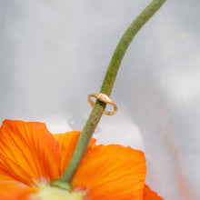 Lade das Bild in den Galerie-Viewer, Pétala Ring
