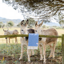 Load image into Gallery viewer, Softest Cotton Blanket blue
