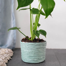 Load image into Gallery viewer, Plant pot small mint
