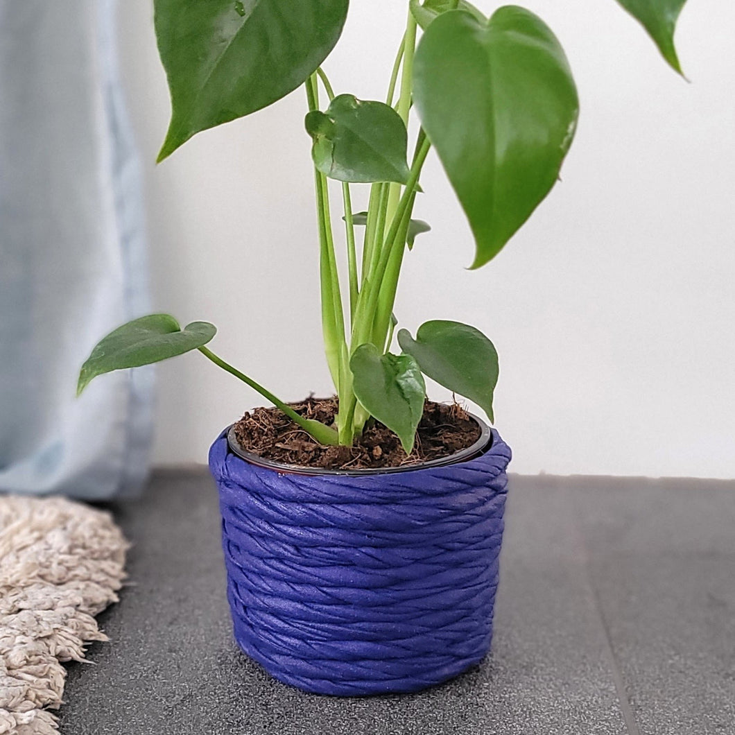 Plant pot small marine