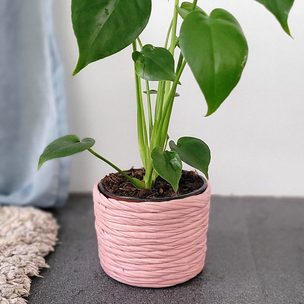 Pflanztopf klein rose