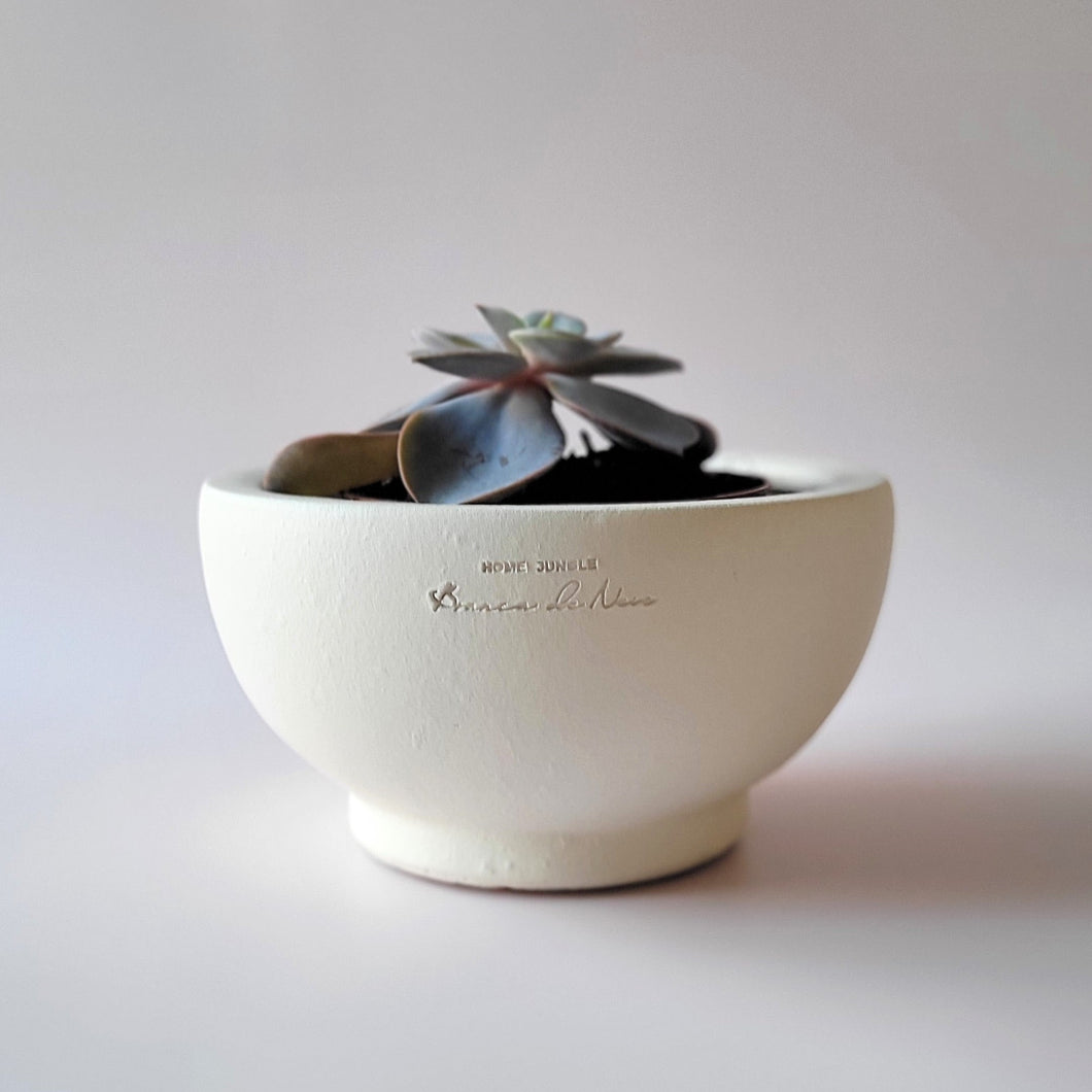 Pflanztopf klein creme