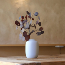 Lade das Bild in den Galerie-Viewer, The Cloud Vase gross
